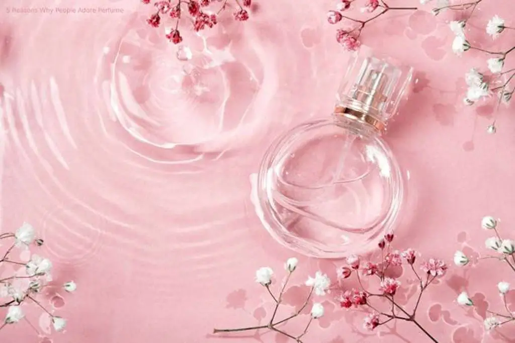 عطر ملایم زنانه چیست و چه ویژگیهایی دارد؟